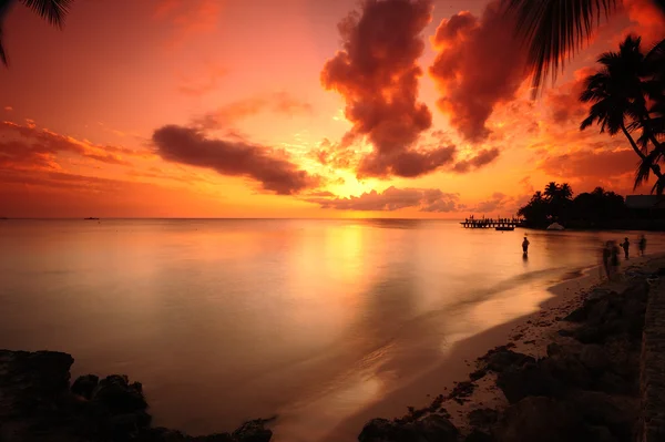 Orange sunset — Stock Photo, Image