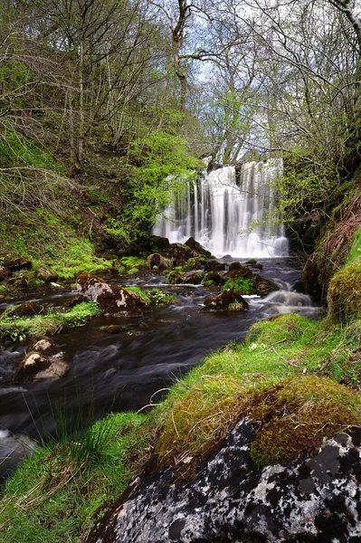 Scala Haw Force, Yorkshire — Foto Stock
