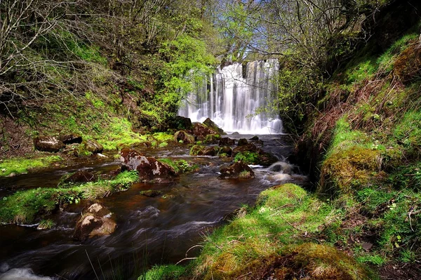 Lente waterval — Stockfoto