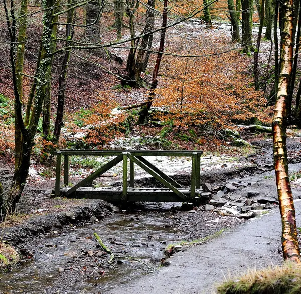 Wooden Bridge — Stock Photo, Image