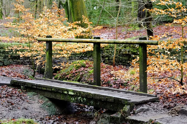 Ponte di legno — Foto Stock