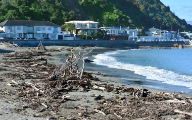 Ada Körfezi, Wellington, Yeni Zelanda - 22 Ağustos 2025: Island Beach 'te Driftwood çadırları