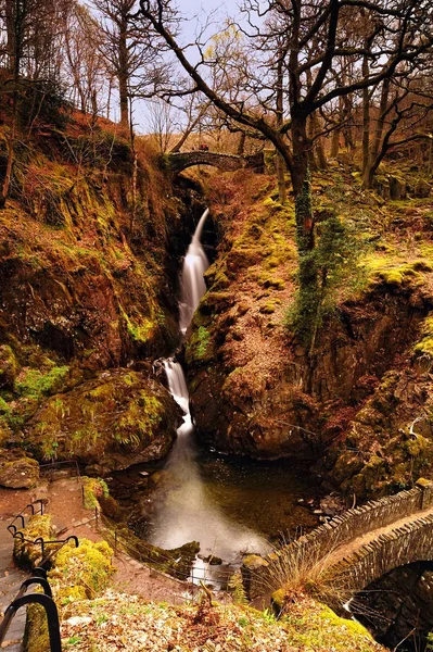 Primavera en Aira Force —  Fotos de Stock