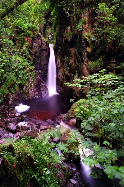 Водопад Стэнли — стоковое фото