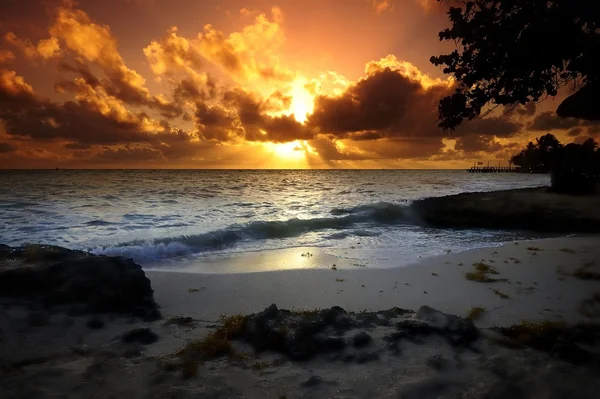 Sunset at the coast — Stock Photo, Image