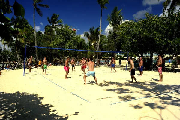 Jouer Volley Ball — Photo