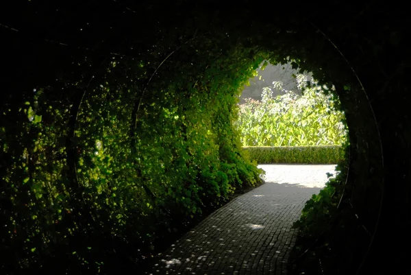 Tunelu vegetace — Stock fotografie