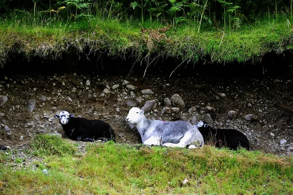 Family at sheltering from the weather — Stock Photo, Image