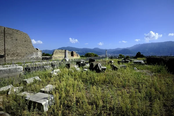 Die Ruinen der Basilika — Stockfoto