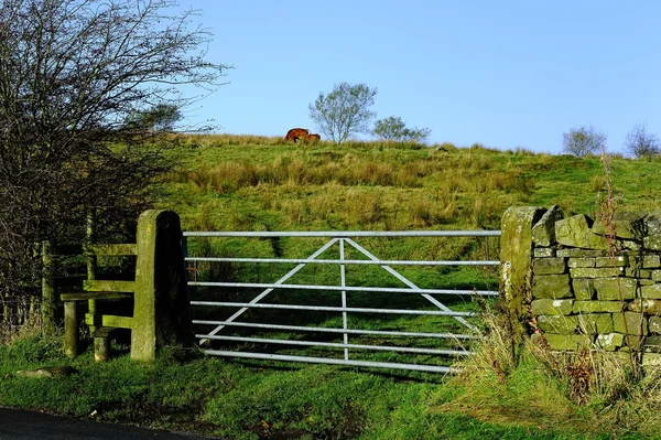 Gateway to the field — Stock Photo, Image