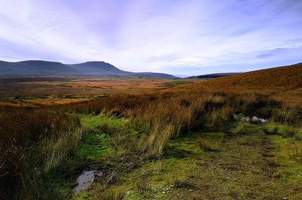 Відстеження Ingleborough Стокова Картинка