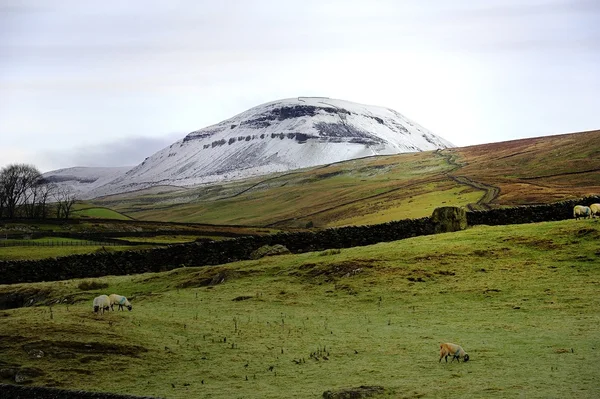 Inverno em Pen-y-ghent Imagens De Bancos De Imagens