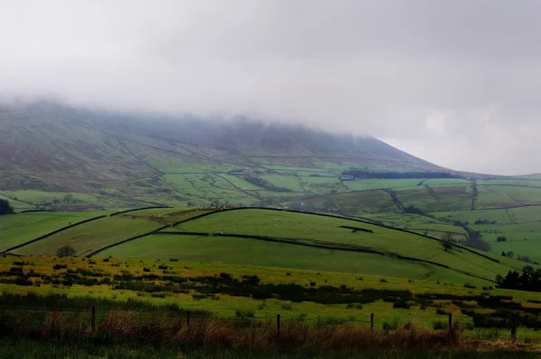 Sis Pendle Hill