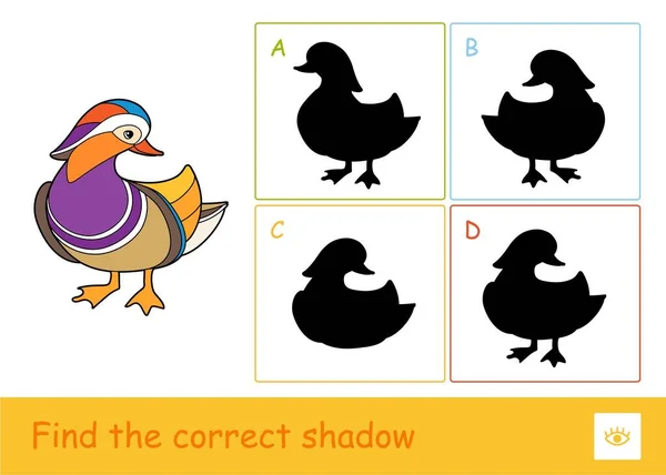 Encontre o quiz de sombra correto aprendendo o jogo de crianças com um pato mandarim e quatro sombras de silhueta para as crianças mais novas. Aprendizagem de pássaros e herbívoros para crianças — Vetor de Stock