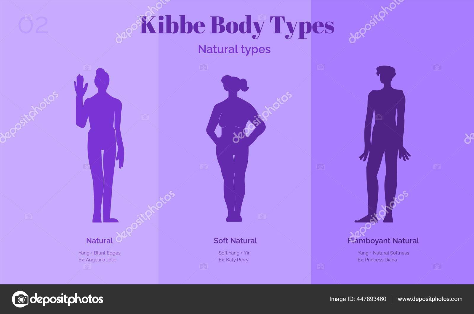 Different women s figures three female body types Vector Image