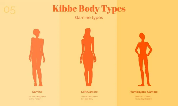 Gamine, soft gamine, flboyant gamine body types — Stockový vektor