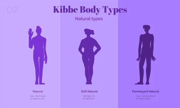 Tres tipos de cuerpo femenino Kibbe natural — Vector de stock