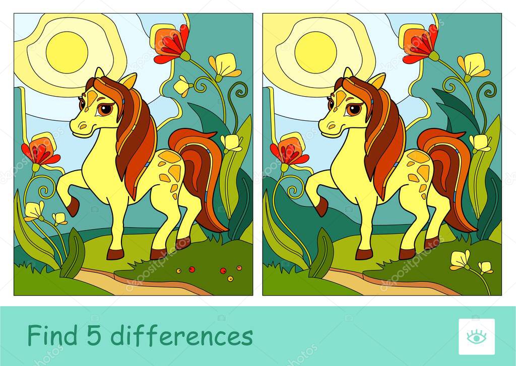 Find five differences quiz learning children game with a skewbald horse in the meadow. Colorful image of wild animals developmental activity.