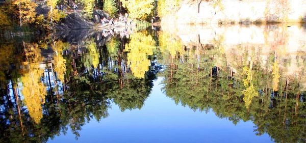 Yeşil Sarı Orman Göl Manzarası Çok Güzel Yeşil Tepeler Köknar — Stok fotoğraf