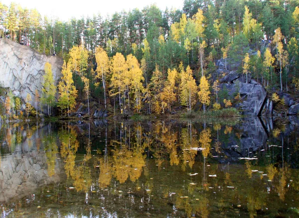 Prachtig Uitzicht Groen Geel Bos Meer Uitzicht Groene Heuvels Dennenbomen — Stockfoto