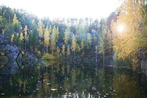 Yeşil Sarı Orman Göl Manzarası Çok Güzel Yeşil Tepeler Köknar — Stok fotoğraf