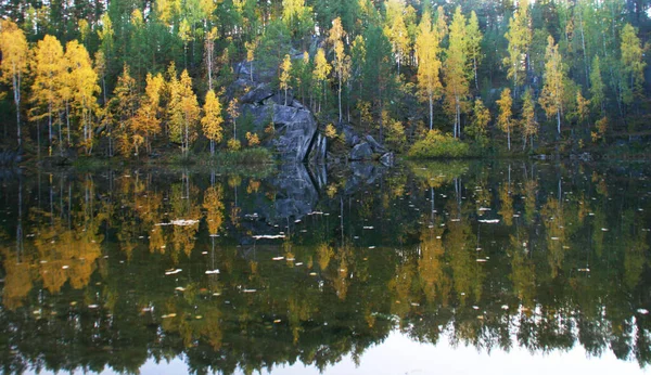 Schöne Landschaft Blick Auf Grüne Und Gelbe Wald Und See — Stockfoto