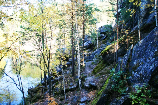 Jesienny Las Jezioro Wodne Odbicie Jesienny Las Jezioro Góra Jezioro — Zdjęcie stockowe