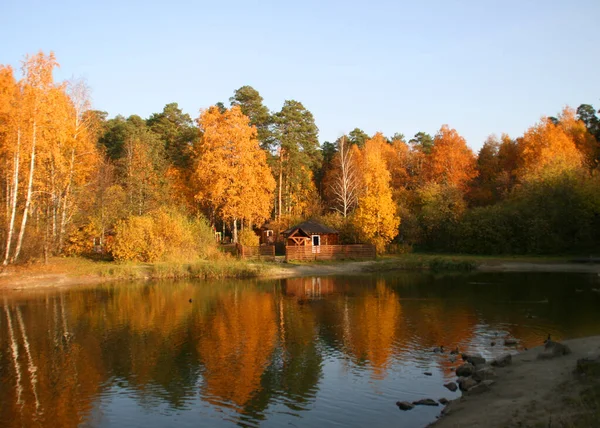 Kleines Haus Und Holzsteg Bei Sonnenaufgang Herbst Luftaufnahme Schöne Landschaft — Stockfoto
