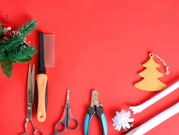Christmas Dog Groomer Accessories Combs Brush Scissors Tools New Year — Stock Photo, Image