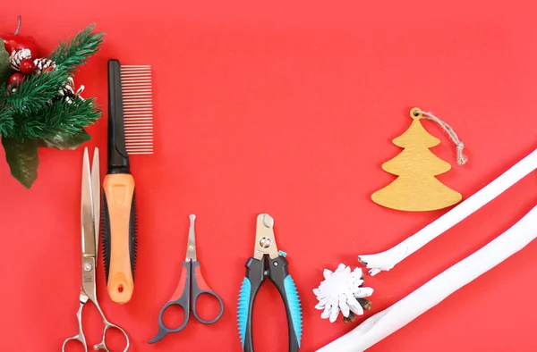 Christmas Dog Groomer Accessories Combs Brush Scissors Tools New Year — Stock Photo, Image