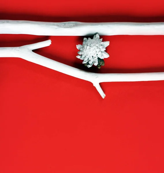 红色背景 白色的圣诞树枝条和白色的松果装饰 平铺风格 新年贺卡 — 图库照片