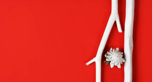 Sfondo Rosso Con Rami Bianchi Albero Natale Bianco Decorazione Pigna — Foto Stock