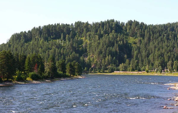 Waldlandschaft Fluss Der Nähe Des Teletskoje Sees Der Republik Altai — Stockfoto