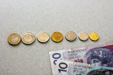 Polonyalı zloti banknotları ve gri arka planda Polonya 'dan gelen paraların fotoğrafı. Para kutsaması