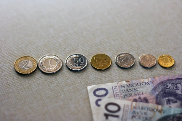 폴란드에서 은행권과 동전을 배경으로 광택제 — 스톡 사진