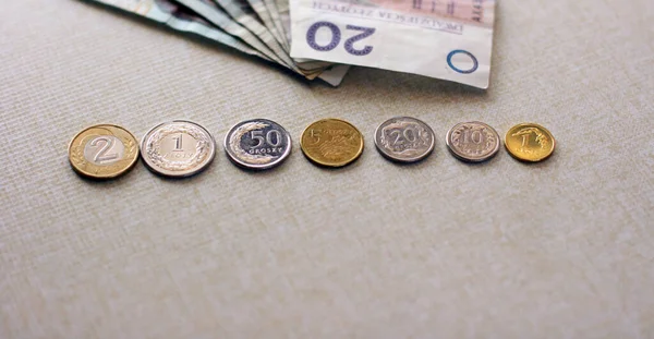 Zdjęcie Polskich Złotych Banknotów Monet Polski Szarym Tle Konsept Pieniężny — Zdjęcie stockowe