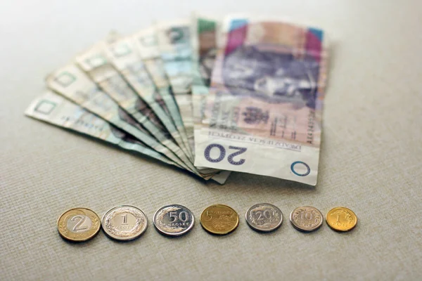 Foto Polonês Zloty Notas Bancárias Moedas Polônia Fundo Cinza Dinheiro — Fotografia de Stock