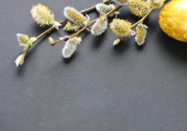 Paskalya arkaplanı, altın yumurtalar ve siyah arka planda söğüt ağacı. Poster, reklam, poster, kartpostal için şablon. Mutlu Paskalya arkaplanı üst görünümü, kopyalama alanı