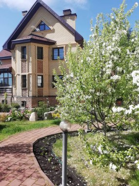 Bahçedeki Elma ağacı çiçekli ev. Fotokopi alanı olan fotoğraf. Doğa arkaplanı