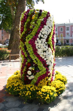 Dushanbe parkında çiçek. Kopyalama alanı olan renkli arkaplan. 