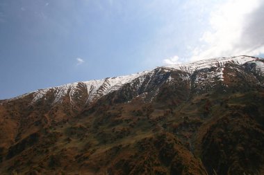 Güneşli bir yaz gününde dağ manzarası. Karlı tepeler, yeşil çimenler ve ağaçlarla kaplı bir dağ geçidi. Kırgızistan, Tien Shan.