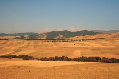 Orta Asya. Kırgızistan. Tien Shan 'ın yüksek rakımlı verimli toprakları. Sonbaharda dağ manzarası tarım alanları. 