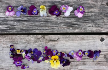 İbne çiçekleriyle çerçevelenmiş. Çiçek kompozisyonu. Bitkilerle takıl. Beyaz masada çiçeklerle yatıyordu. Metin için kopyalanma alanı. Çiçeklere odaklan.