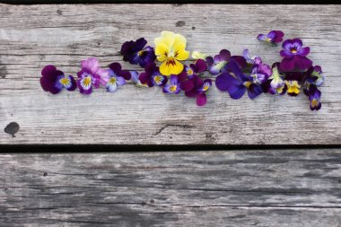 İbne çiçekleriyle çerçevelenmiş. Çiçek kompozisyonu. Bitkilerle takıl. Beyaz masada çiçeklerle yatıyordu. Metin için kopyalanma alanı. Çiçeklere odaklan.