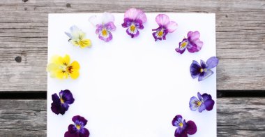 İbne çiçekleriyle çerçevelenmiş. Çiçek kompozisyonu. Bitkilerle takıl. Beyaz masada çiçeklerle yatıyordu. Metin için kopyalanma alanı. Çiçeklere odaklan.