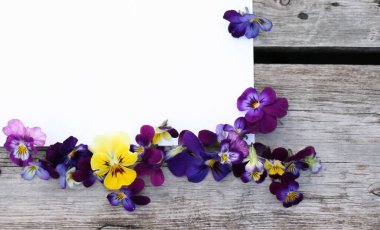 İbne çiçekleriyle çerçevelenmiş. Çiçek kompozisyonu. Bitkilerle takıl. Beyaz masada çiçeklerle yatıyordu. Metin için kopyalanma alanı. Çiçeklere odaklan.