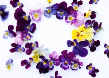 İbne çiçekleriyle çerçevelenmiş. Çiçek kompozisyonu. Bitkilerle takıl. Beyaz masada çiçeklerle yatıyordu. Metin için kopyalanma alanı. Çiçeklere odaklan.