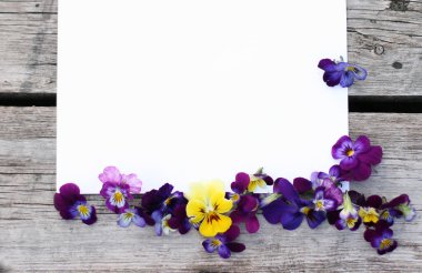 İbne çiçekleriyle çerçevelenmiş. Çiçek kompozisyonu. Bitkilerle takıl. Beyaz masada çiçeklerle yatıyordu. Metin için kopyalanma alanı. Çiçeklere odaklan.