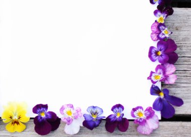 İbne çiçekleriyle çerçevelenmiş. Çiçek kompozisyonu. Bitkilerle takıl. Beyaz masada çiçeklerle yatıyordu. Metin için kopyalanma alanı. Çiçeklere odaklan.