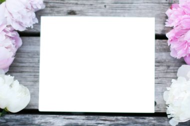 Pion çiçekli üst görünüm arkaplanı. Çiçek kompozisyonu. Bitkilerle takıl. Flowers beyaz masada yatıyordu. Kadın günü konsepti. Metin için kopyalama alanı.